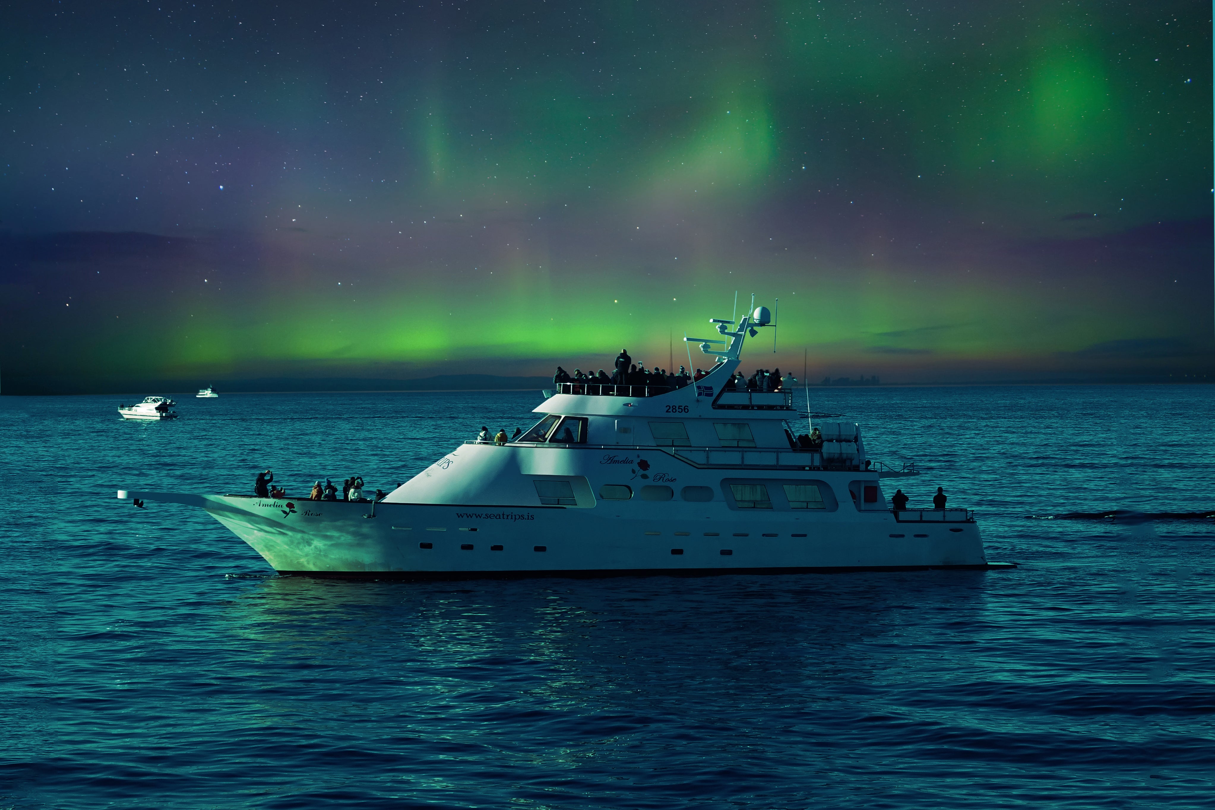 Northern Lights Cruise Along Reykjavik's Coastline