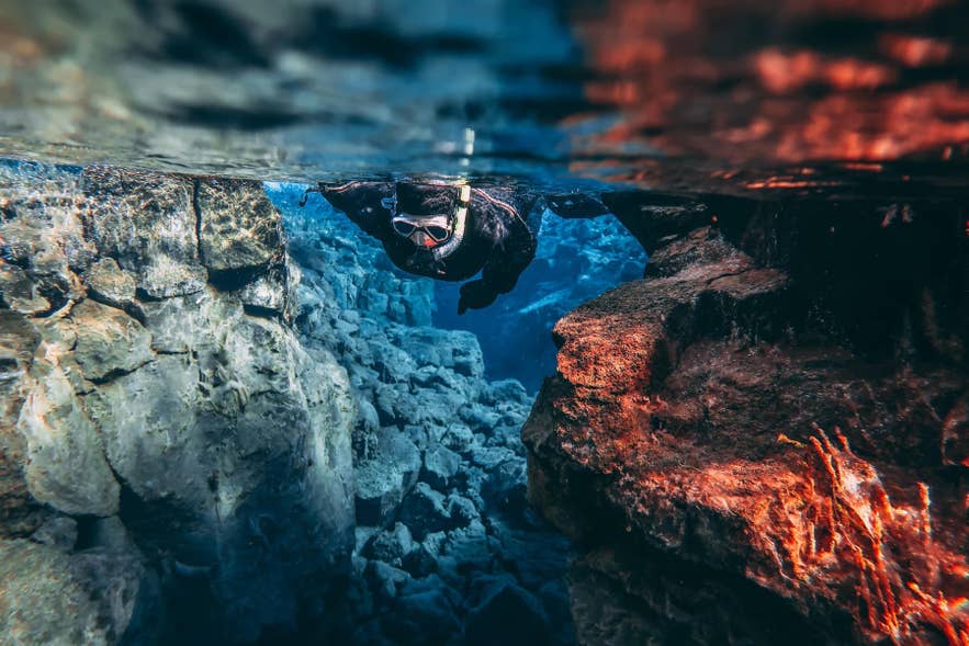 Snorkelen in het heldere water van Silfra, een unieke ervaring die vaak wordt gecombineerd met een bezoek aan de Gullfoss-waterval op de Golden Circle. Snorkelen in het heldere water van Silfra, een unieke ervaring die vaak wordt gecombineerd met een bezoek aan de Gullfoss-waterval op de Golden Circle.