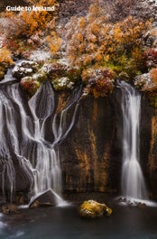 The Hraunfossar waterfalls are beautiful features in West Iceland.