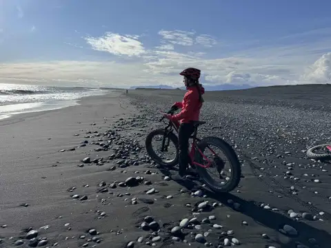 Small-Group South Coast Tour from Reykjavik with E-Bike Ride to Solheimasandur DC-3 Plane Wreck
