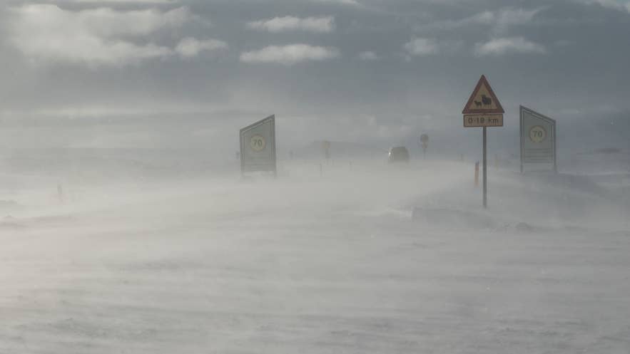 暴风雪降低了冰岛道路上的能见度，凸显了使用Vedur等冰岛应用查看路况的重要性。
