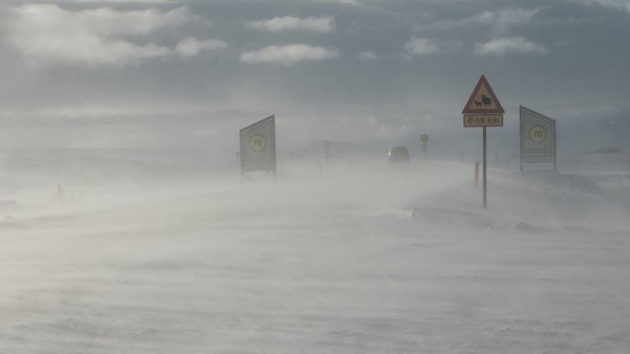 The Icelandic Meteorological Office provides rolling information on the weather, be it wind speed, solar activity or weekly forecasts.