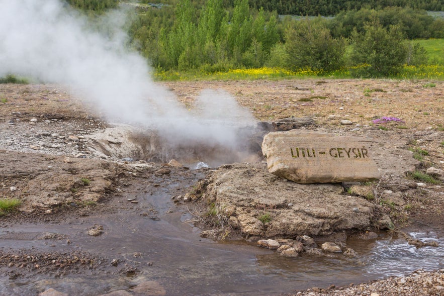 Steaming Litli Geysir in Iceland, with a stone sign using the Icelandic alphabet beside a geothermal vent