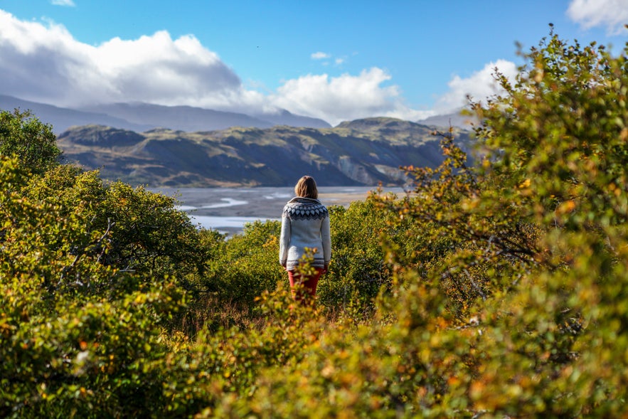 A traveler wearing an Icelandic sweater stands among green shrubs, overlooking a wide valley and river landscape.