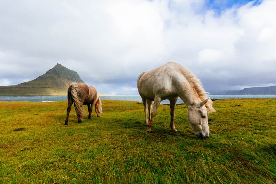 Visiting Iceland off-season can be a way of saving money.