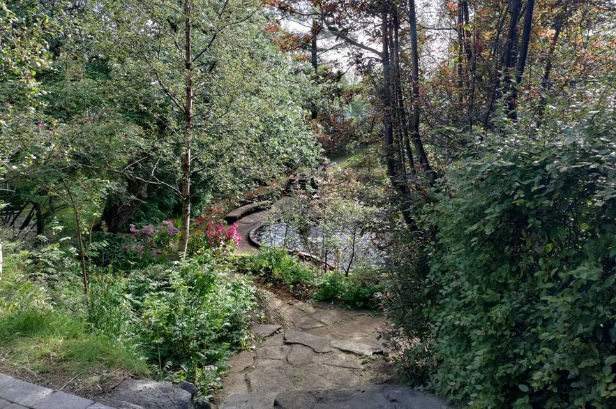 There is a very charming pond in Hellisgerdi park that features a fountain, a bridge and a tiny waterfall.