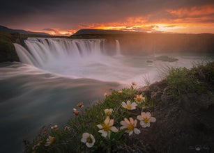 Godafoss-Wasserfall in Nordisland bei Sonnenuntergang mit blühenden Blumen.