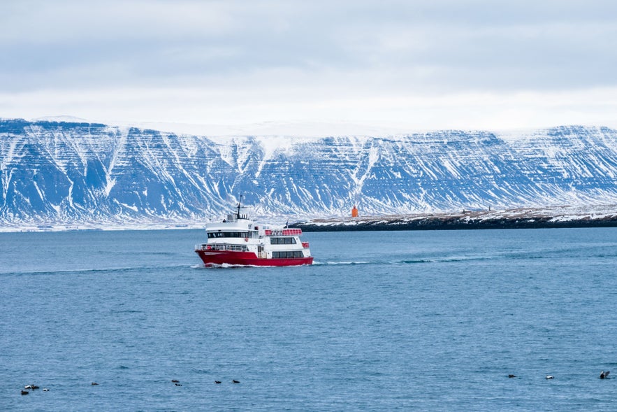 Ferry sailing on a fjord in Iceland with snow-covered mountains in the background, a scenic winter coastal view.