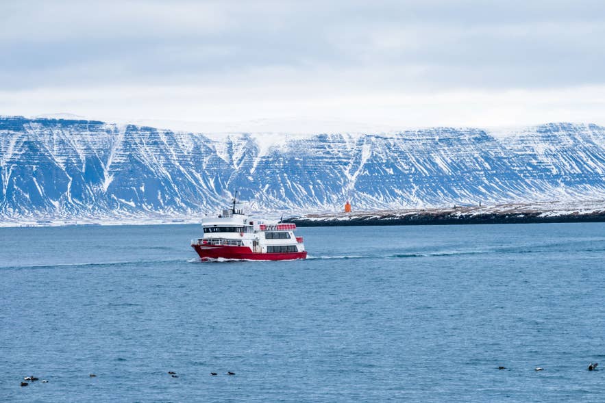 Ferry sailing on a fjord in Iceland with snow-covered mountains in the background, a scenic winter coastal view.