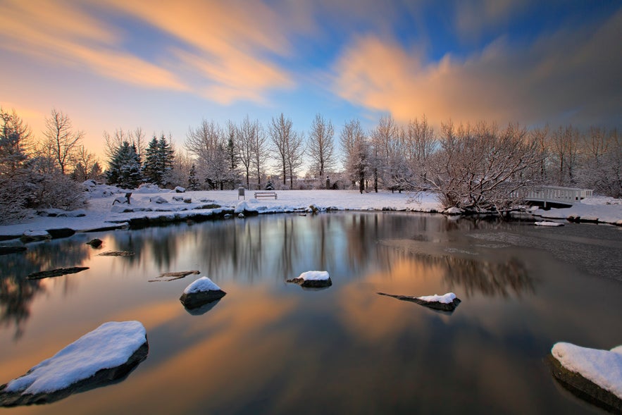 Snow-covered Reykjavik pond with trees and a bench under a colorful sunset sky
