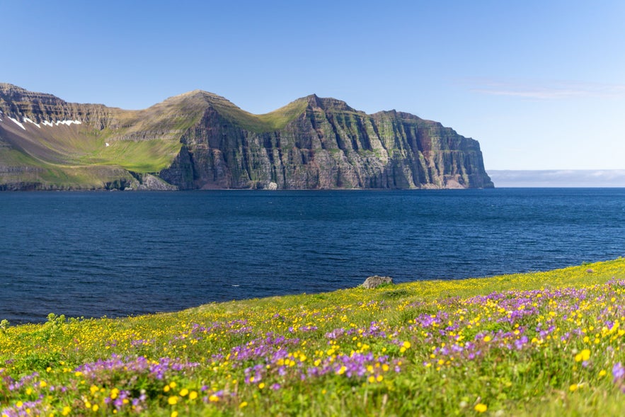 View of Hornbjarg cliffs across the sea in remote Hornstrandir Nature Reserve