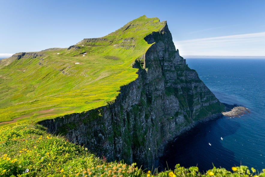 Clifftop view of Hornbjarg in the remote Hornstrandir region