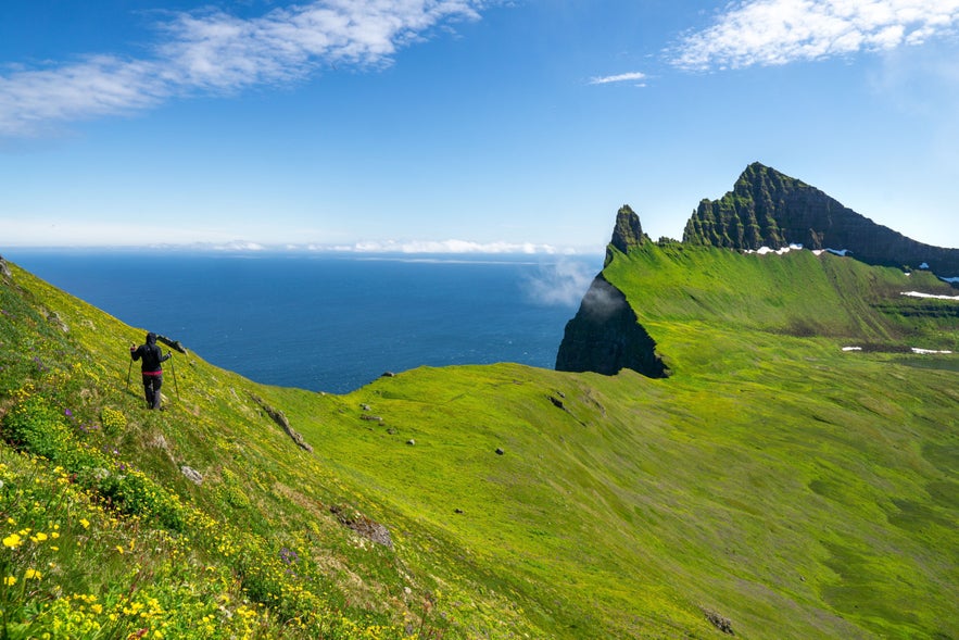 Hiker walking along green cliffs near Hornbjarg in Hornstrandir, Iceland