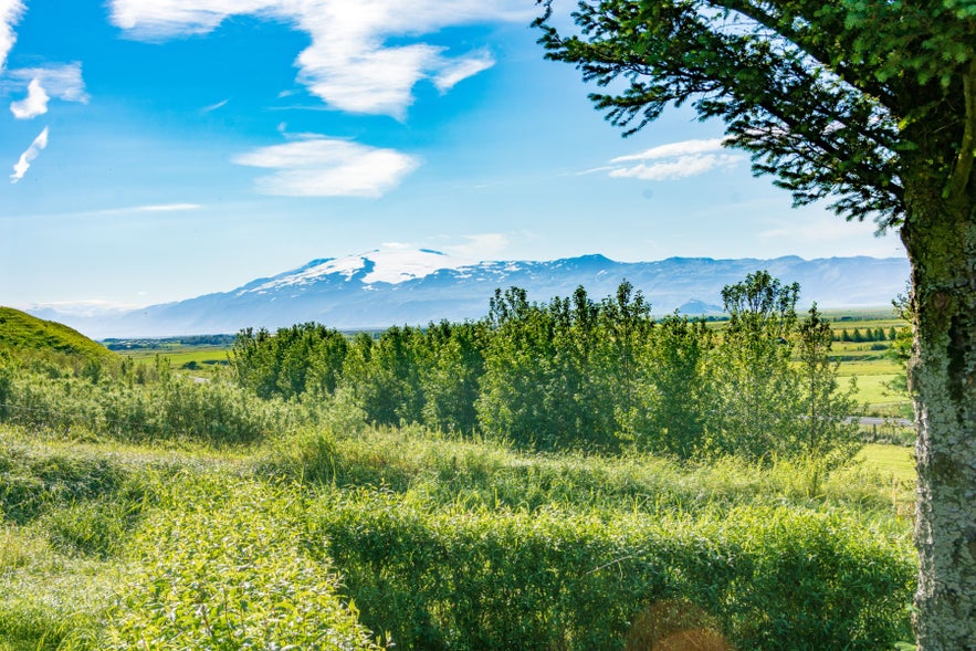 ชนบทสีเขียวขจีใกล้เมืองฮวอลสโวลลูร์ ทางตอนใต้ของไอซ์แลนด์ เต็มไปด้วยต้นไม้ ทุ่งนาโล่ง และภูเขาที่อยู่ไกลออกไปภายใต้ท้องฟ้าสีครามในฤดูร้อน