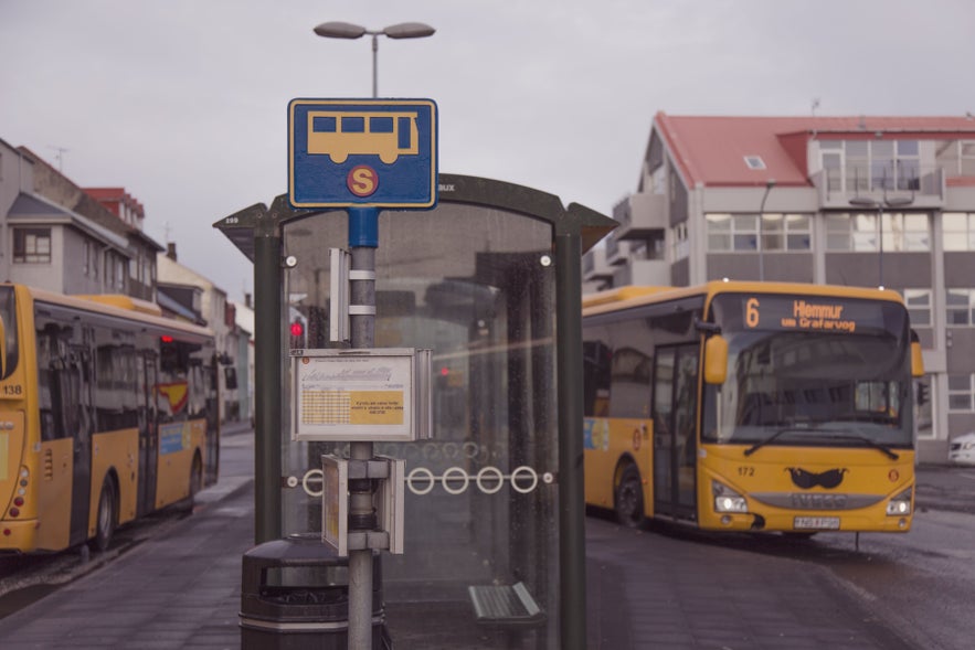 Reykjavik City Bus Stop with yellow Straeto buses, showing public transport connections toward Hvolsvollur and South Iceland.