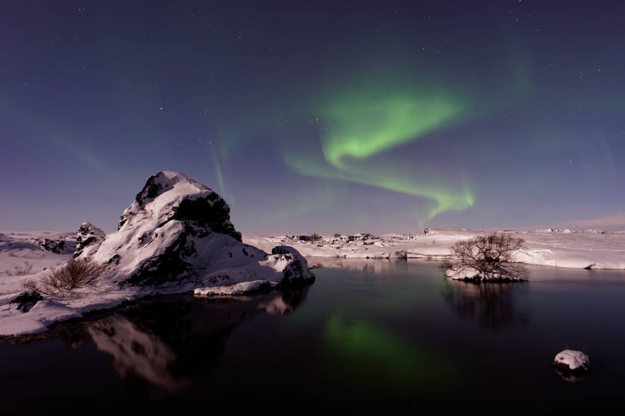 Green northern lights reflected in Lake Myvatn on a snowy winter night, with lava formations on the shore.