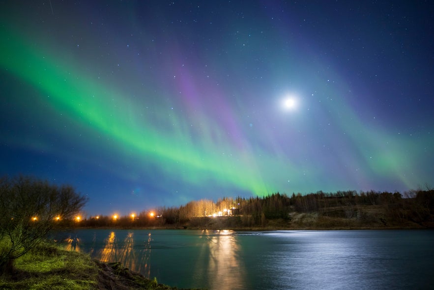 Northern lights dance above the river and trees near Hella, Iceland.