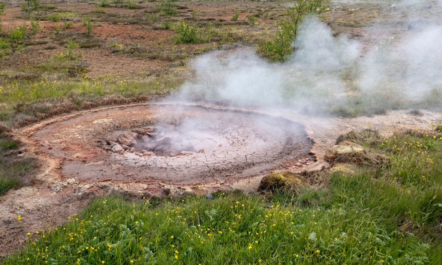 Steaming mud pot in Haukadalur Geothermal Valley, Iceland, with bubbling mud and mineral-rich ground.