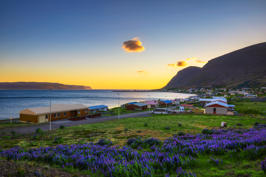 Small-Group 3-Day Guided Westfjords Summer Tour from Reykjavik