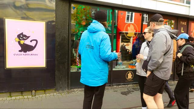고양이를 사랑하는 여행객을 위한 소규모 2시간 레이캬비크 도보 투어(간식 제공)