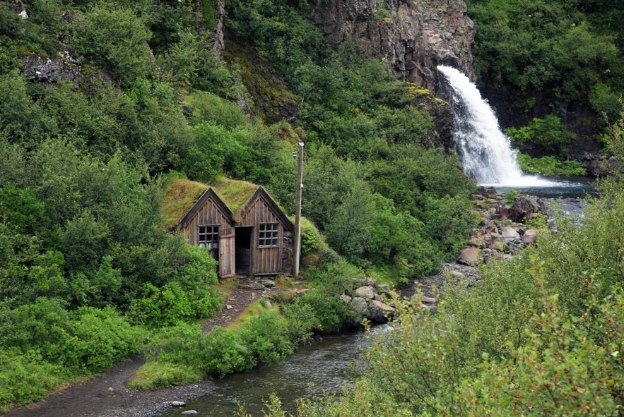 Magnusarfoss waterfall surrounded by lush green vegetation in Iceland.