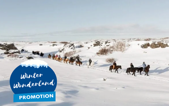 Easy Horse Riding Tour through Lava Fields with Optional Transfer from Reykjavik