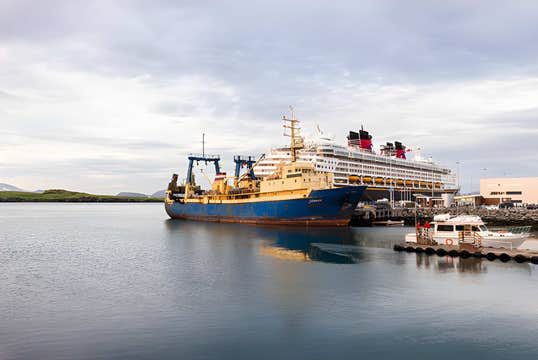 Private Cruise Terminal Transfer to Reykjavik or Vice Versa