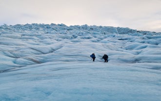 Small Group 4.5-Hour Guided Glacier Hiking Tour with Transfer from Skaftafell