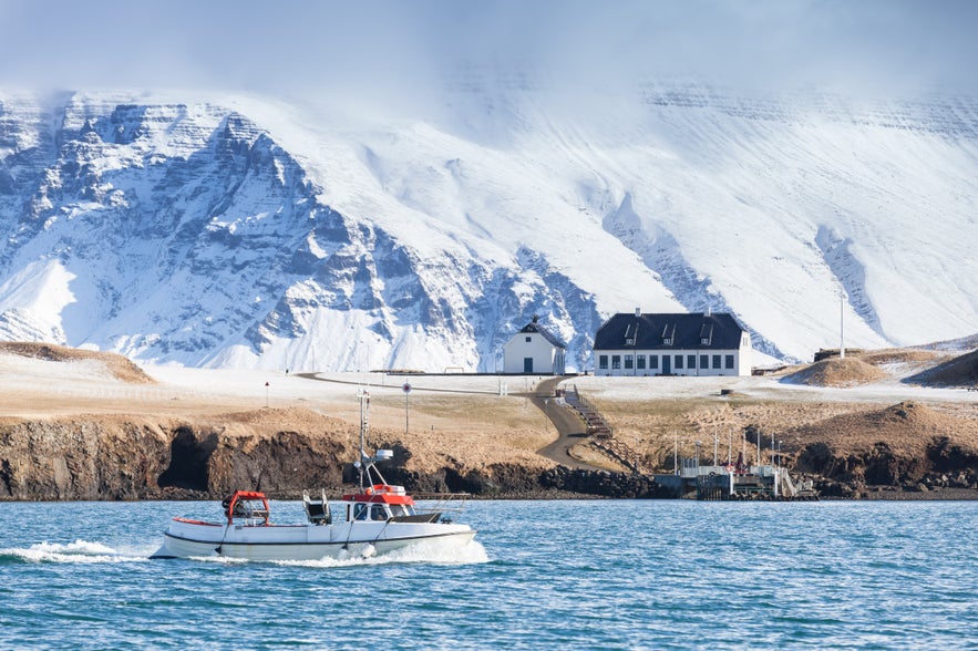 The Best Things to Do in Reykjavik in Winter