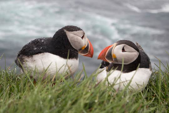 Private South Coast Tour to Jokulsarlon Glacier Lagoon & Diamond Beach from Reykjavik