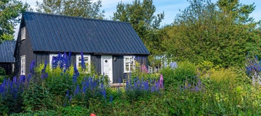 Jardins botaniques d'Akureyri
