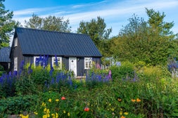 Botanischer Garten Akureyri