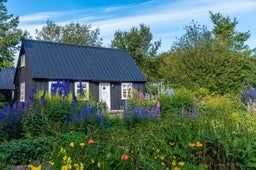 The Botanical Gardens of Akureyri are some of the most beautiful in Iceland