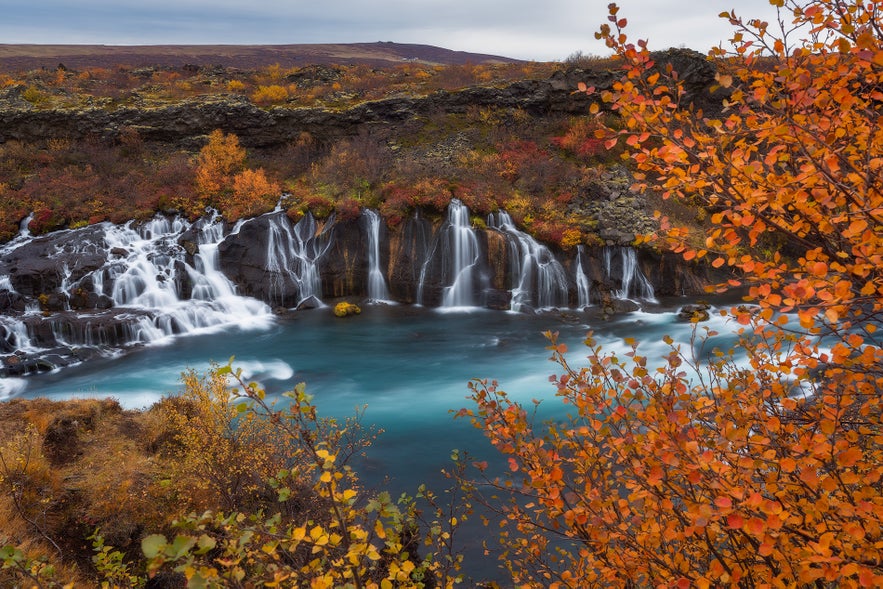 The Hraunfossar in Borgarfjordur are especially beautiful during the fall months