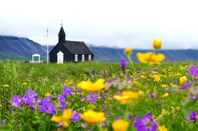 Le parc national de Thingvellir, l'une des curiosités du Cercle d'Or islandais.
