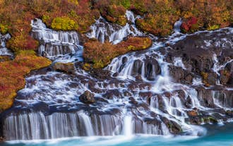 Hraunfossar Waterfalls flowing over lava rocks surrounded by colorful autumn foliage in West Iceland.