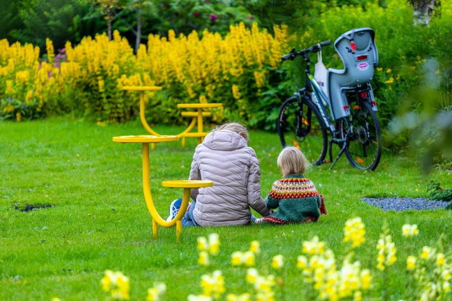 Gezin ontspant in een park in Reykjavik met zomerbloemen en fietsen, genietend van IJsland met kinderen in de buitenlucht.
