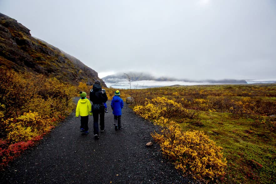 Islanda con bambini che fanno trekking nel Parco Nazionale di Thingvellir in autunno, tra muschi colorati e campi di lava.