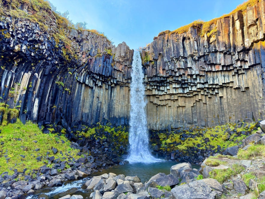 Svartifoss waterfall in summer with lush green birch forests and dark basalt columns in Vatnaj&ouml;kull National Park, Iceland.