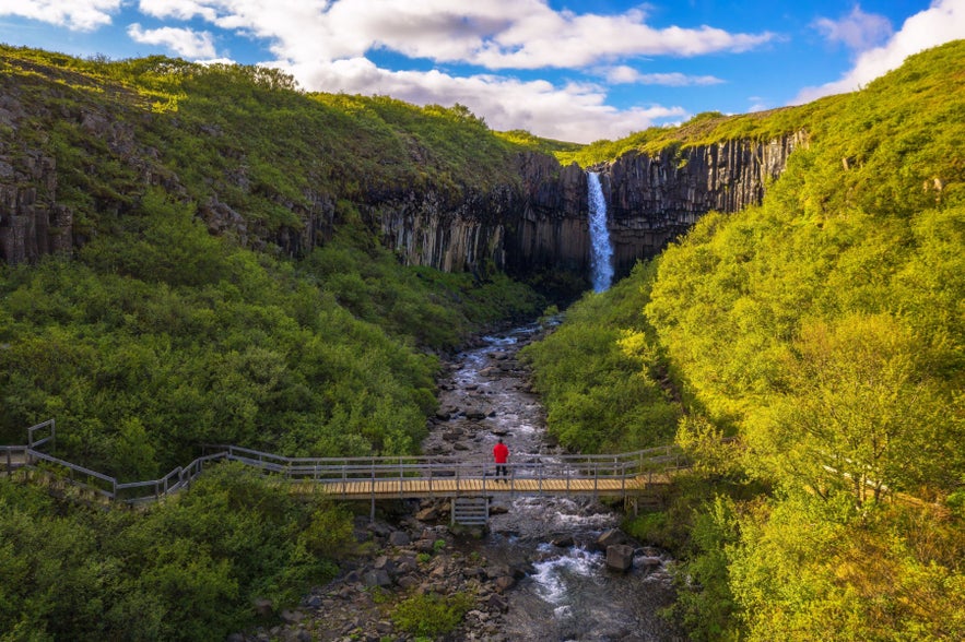 Hiker in red jacket looks at the Svartifoss Waterfall in Iceland. 