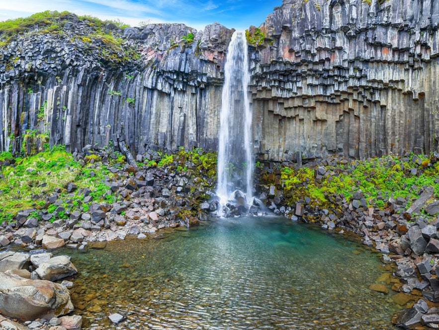 Summer scene at Svartifoss Waterfall, with the cascading waterfall framed by dark basalt columns.