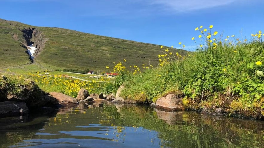 The Country Hotel Heydalur offers a nature pool on the premises