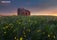 An abandoned house on the Reykjanes Peninsula presents a striking contrast against a lush green landscape.