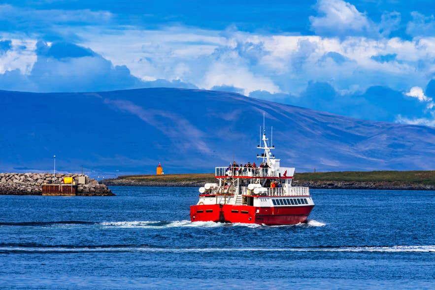 Un bateau de tourisme rouge navigue devant un port, avec des montagnes en arrière-plan dans le nord de l’Islande.