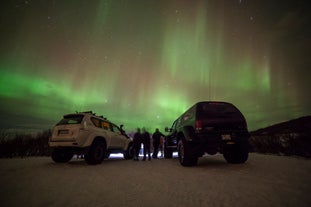 From greenish yellow to dazzling shades of blue, red, pink, purple, and white, the northern lights offer a stunning palette of colors that dance across the heavens.