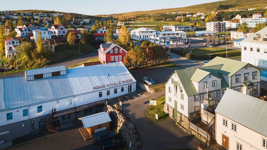 The Whale Museum is one of the best stops in Husavik