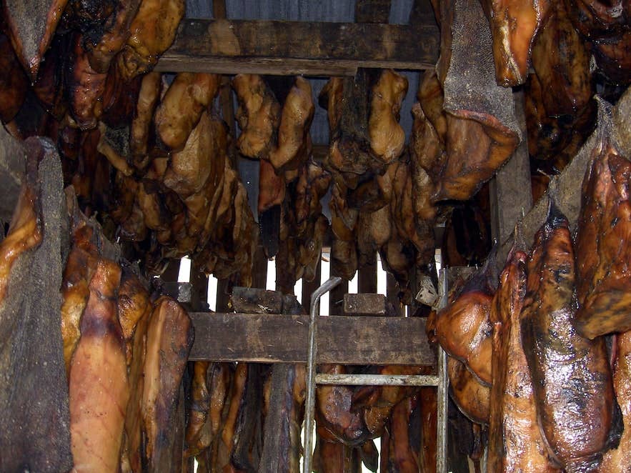 Traditional hakarl drying at the Bjarnarhofn Shark Museum in West Iceland