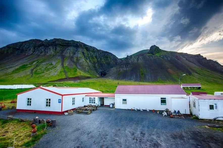 The Bjarnarhofn Shark Museum is located among beautiful nature