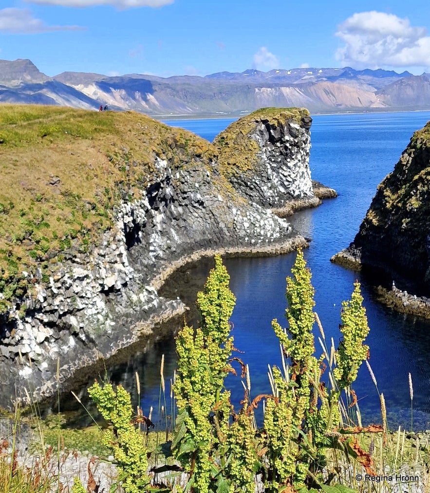 Arnarstapi - Snæfellsnes West-Iceland Pumpa cove