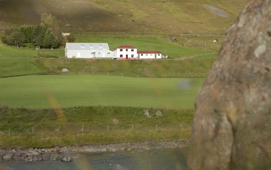 The Wilderness Center is located in a renovated old farm